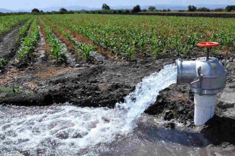 Presentan nuevo Plan Nacional Hídrico: ¿Qué harán para llevar agua potable a todo México?