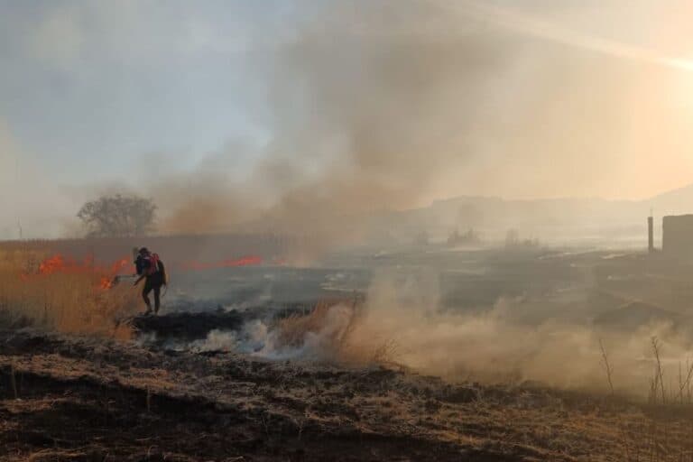 Aumentan los incendios en Jerez; afectan pastizales, vegetación y viviendas antiguas