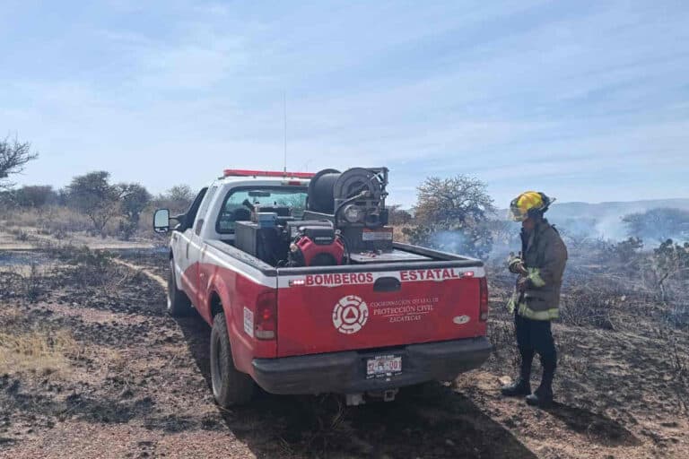 Controlan incendio forestal en la carretera 45, en Martínez Domínguez