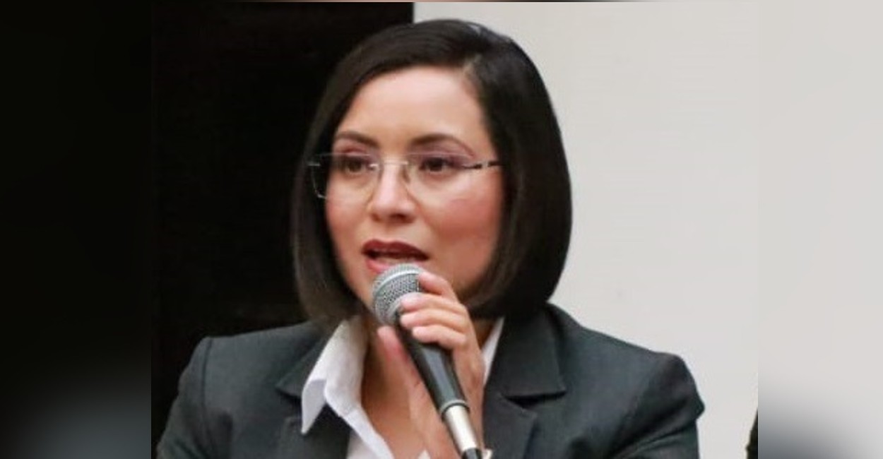 Luz Domínguez, titular de la Comisión de Derechos Humanos.