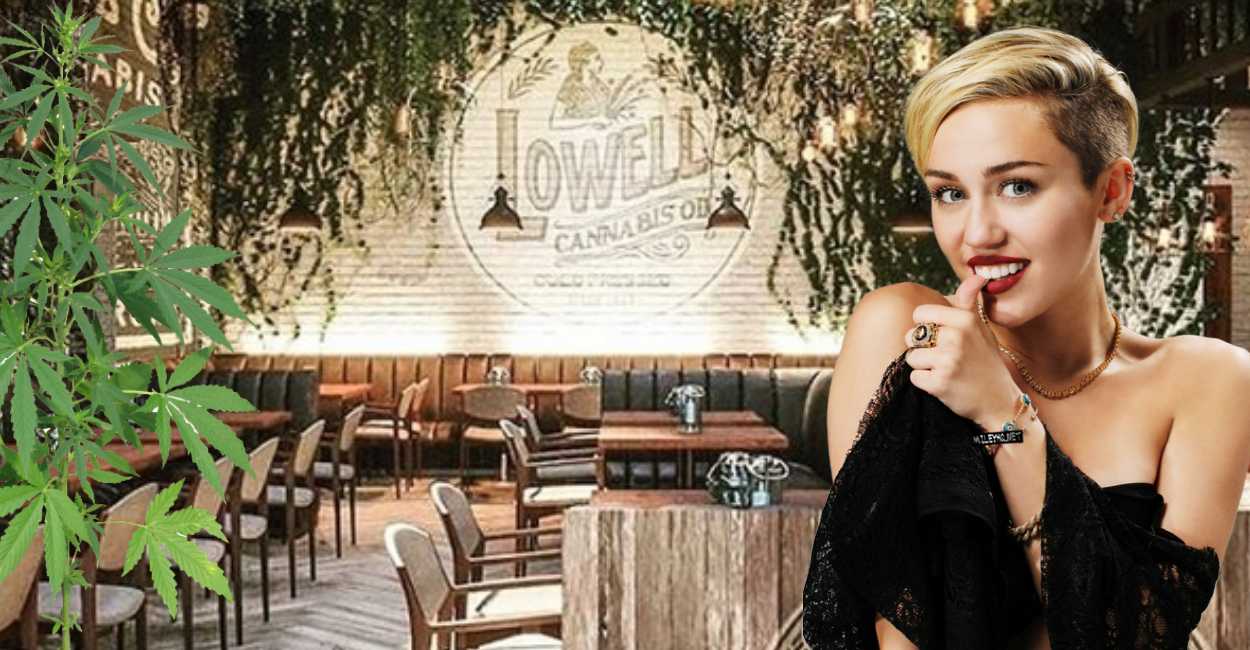 Miley Cyrus abrió la primera cafetería donde casi toda la comida tiene marihuana.