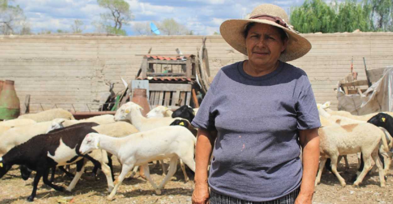 Sader recalcó los apoyos a las mujeres del campo zacatecano.