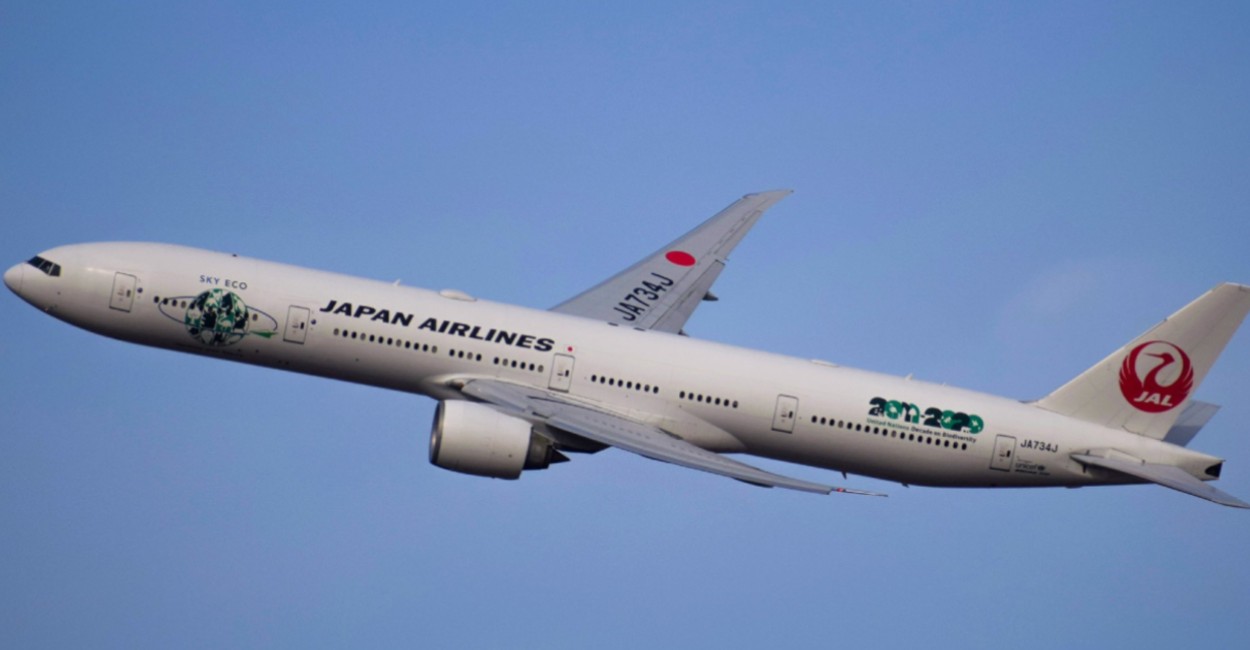 Aerolínea Japan Airlines/ Foto: Twitter.