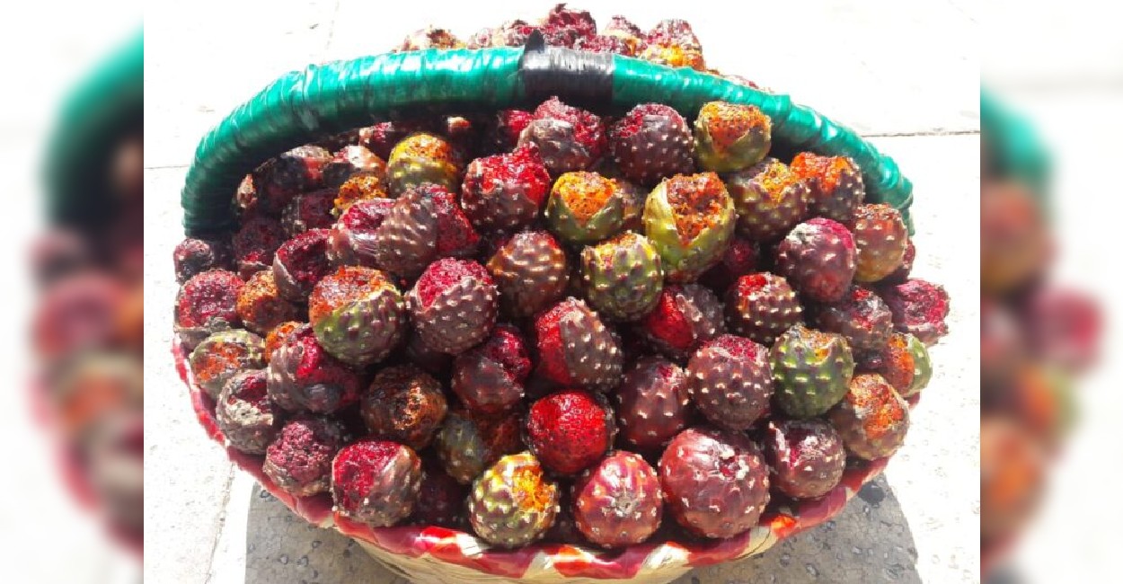 Las pitayas son una fruta representativa. Foto: Rocío Ramírez.