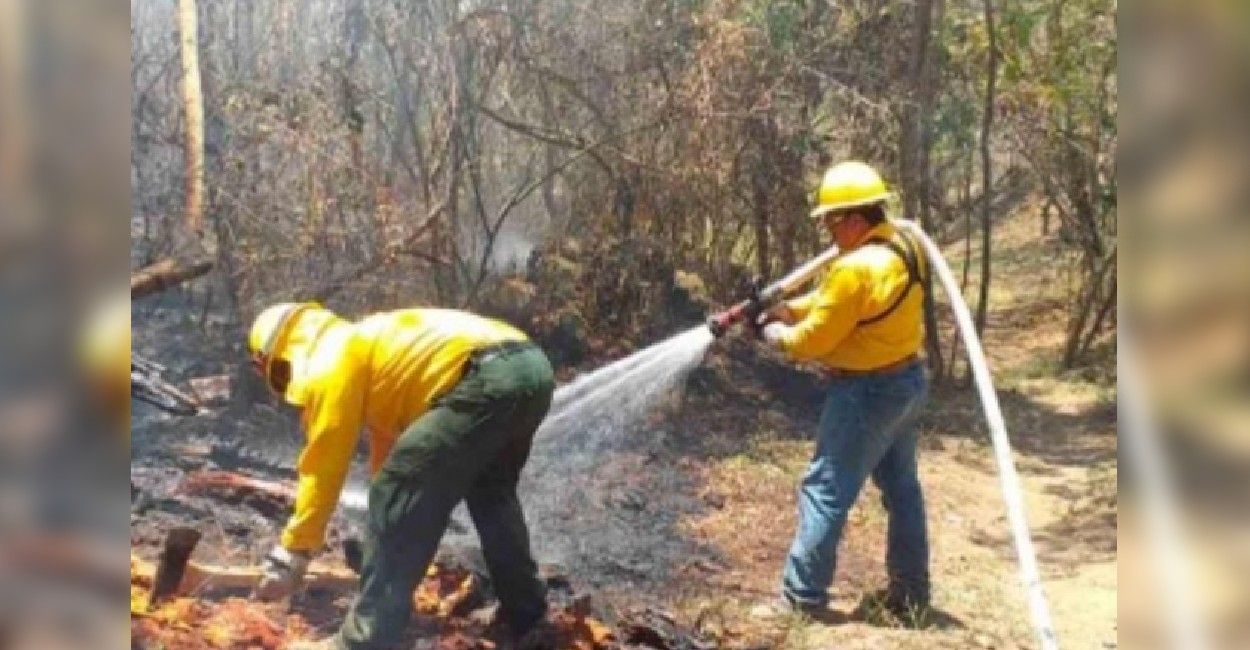 La Conafor dijo que hay 55 incendios forestales activos en el país. Foto: Cortesía.