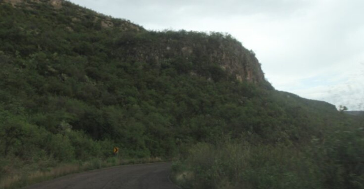 Zacatecas destaca por su biodiversidad. Foto: Archivo.
