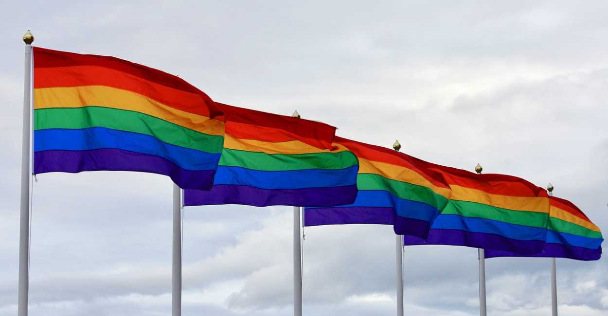 El Orgullo LGBT, es una serie de actos que la comunidad LGBT celebra públicamente cada año  para instalar la igualdad de su colectivo.