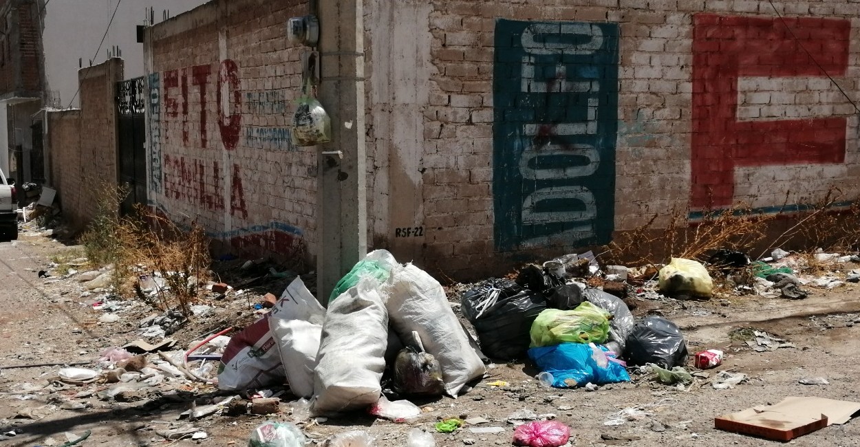 La basura no sólo es responsabilidad del Ayuntamiento, sino también de la ciudadanía. Fotos: Marcela Espino.