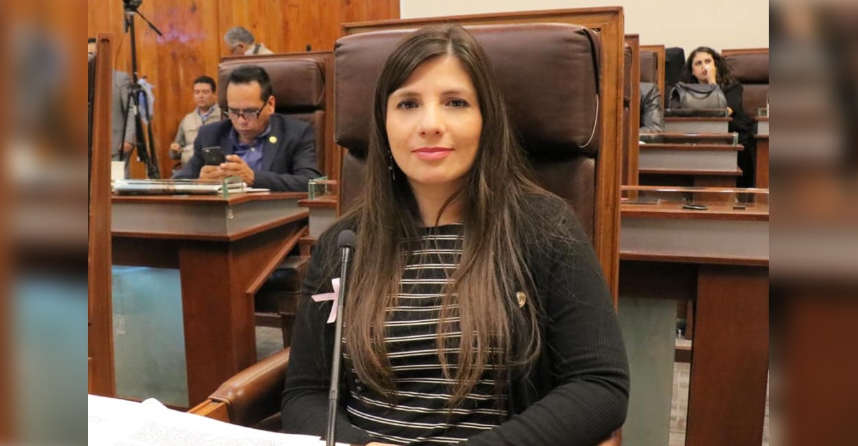 Gabriela Pinedo, presidenta de la Comisión Permanente. Foto: Imagen.