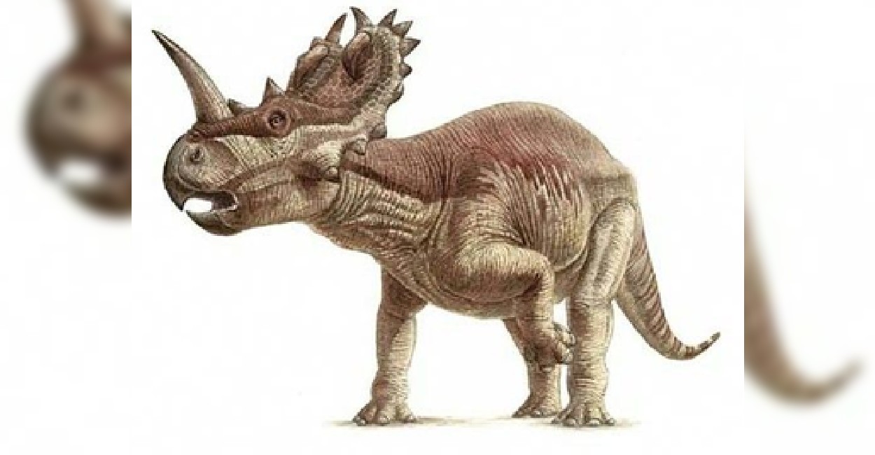 El cáncer fue localizado en los huesos de un Centrosaurus apertus. Foto: Twitter.