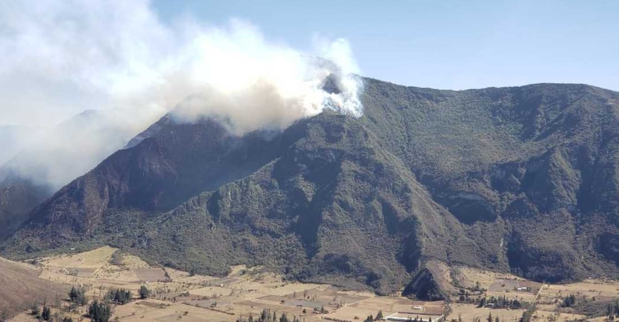 Un total de 5 mil 50 hectáreas de bosques y vegetación se han perdido por los incendios. Foto: Twitter.