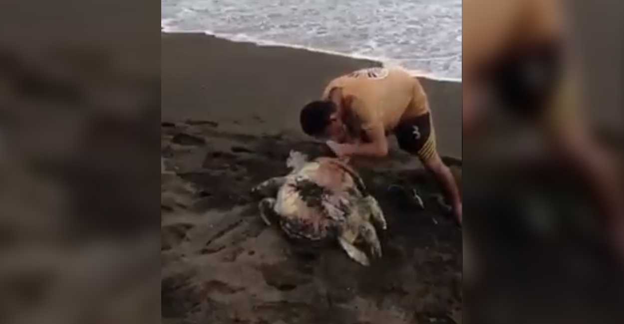 El joven se burlaba de como golpeaba a la tortuga. | Foto: Captura de pantalla.
