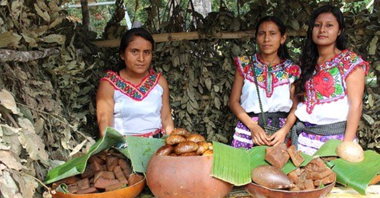 En México hay seis millones 146 mil 479 mujeres indígenas. | Foto: Cortesía.