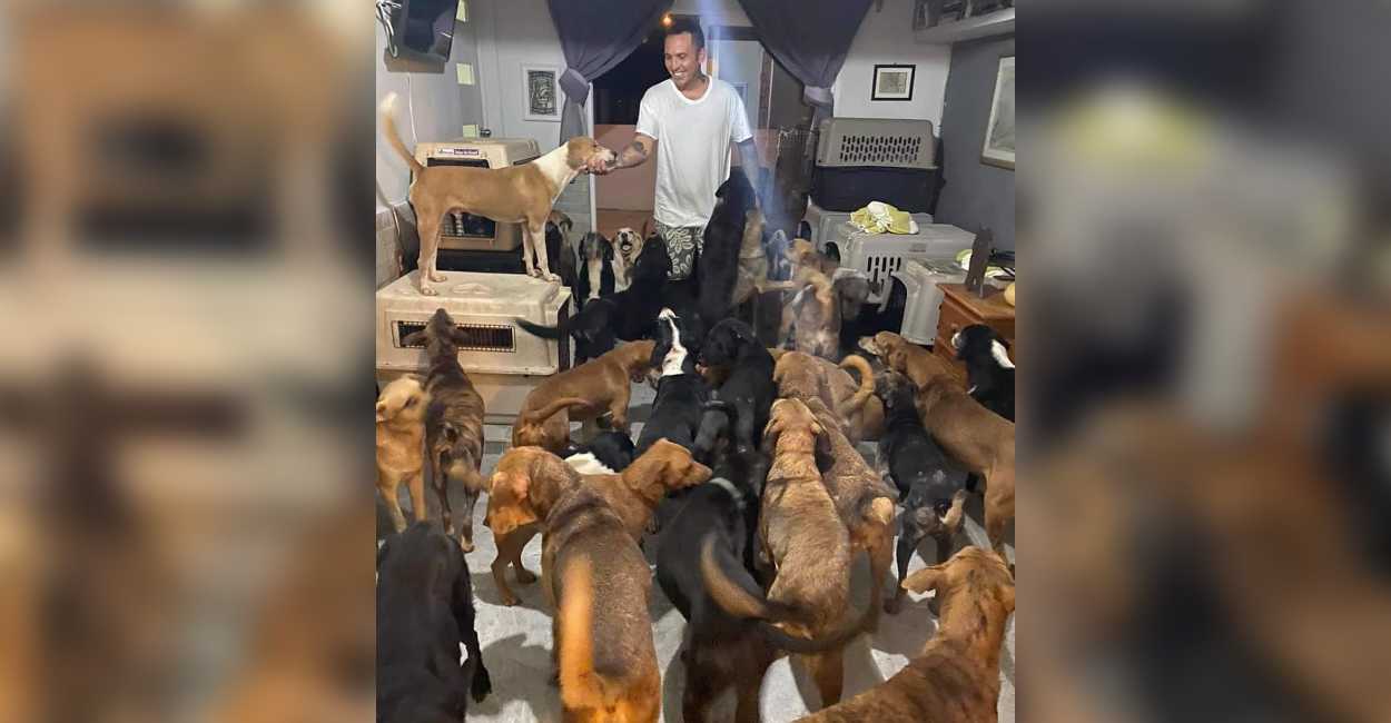 Ricardo Pimentel Cordero con decenas de perros.