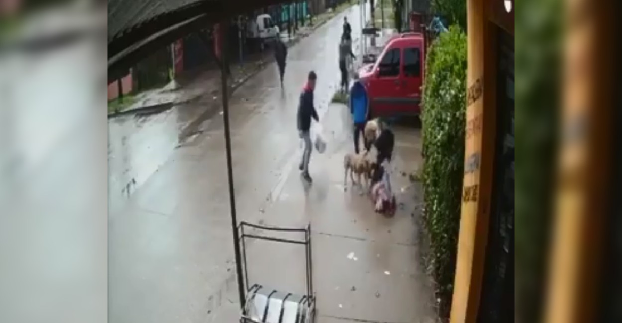 Un hombre le lanza patadas al perro para que suelte a la niña. Foto: Captura de pantalla.
