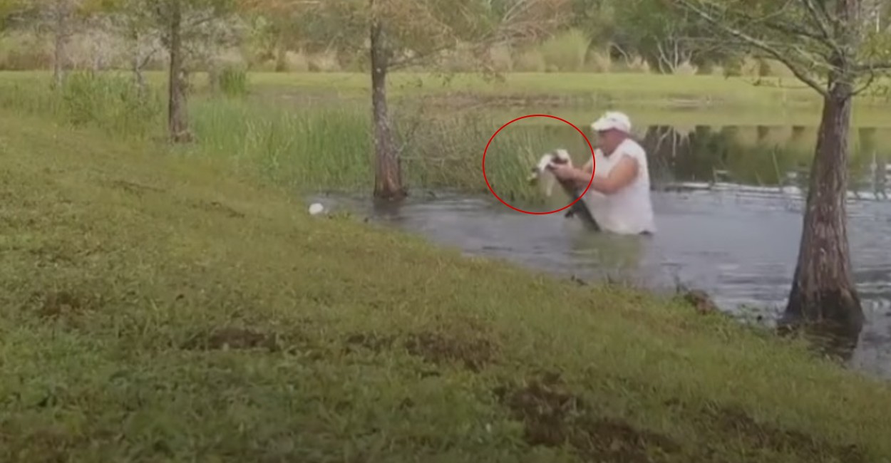 El sujeto sacó al perrito del agua para liberarlo del caimán. Foto: Captura de pantalla.
