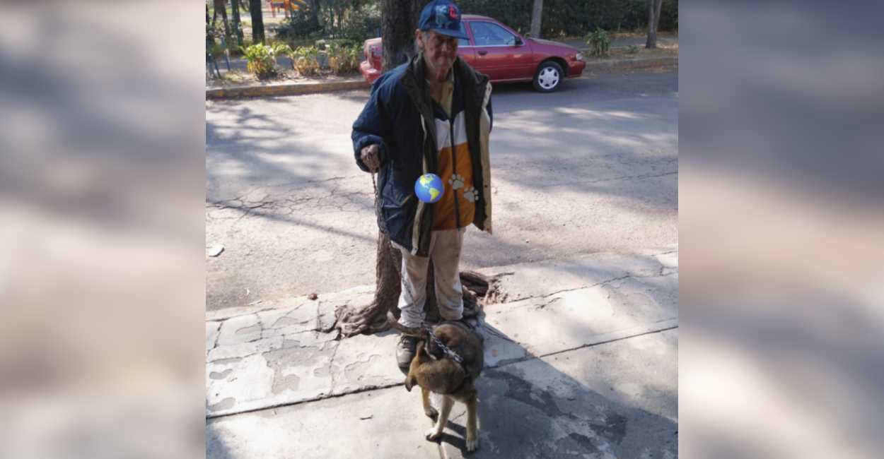 El ancianito es muy unido a sus perritos ya que viven en la calle junto a él.