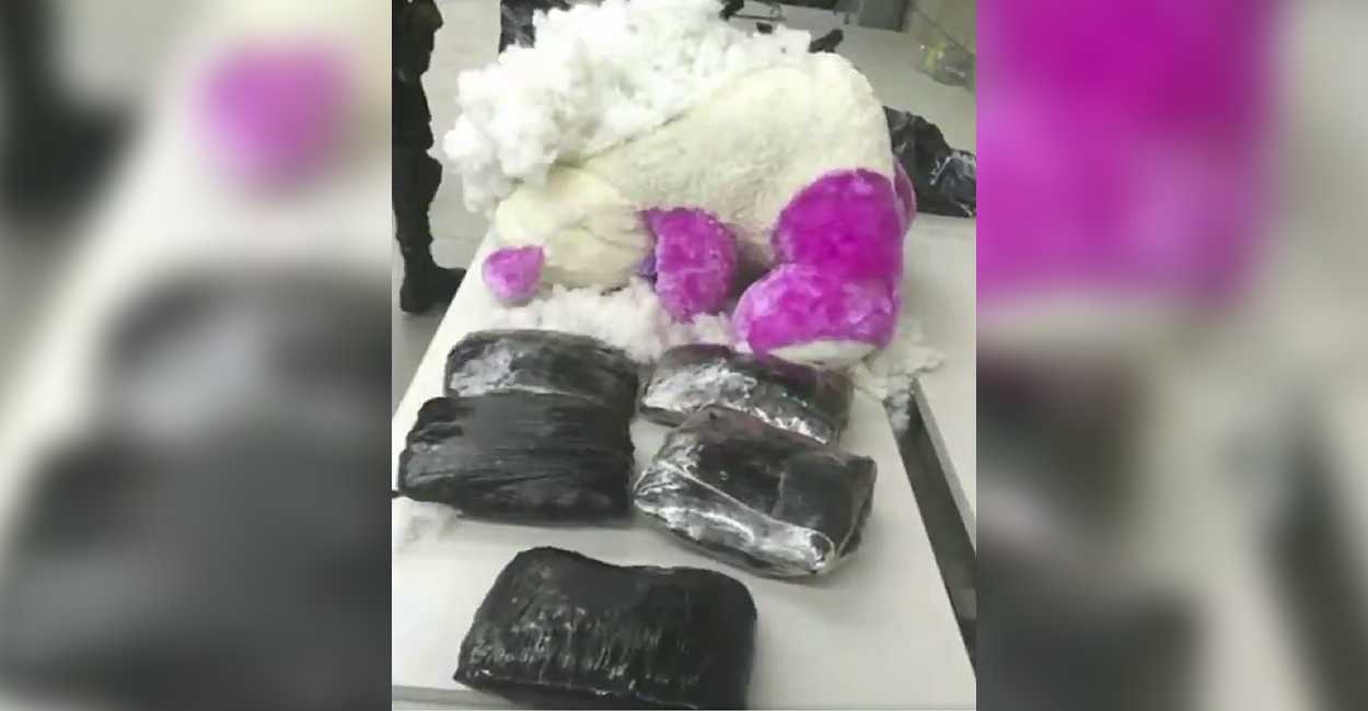 La droga la ocultaban en bolsas negras dentro de los osos. | Foto: Fiscalía de Colombia.