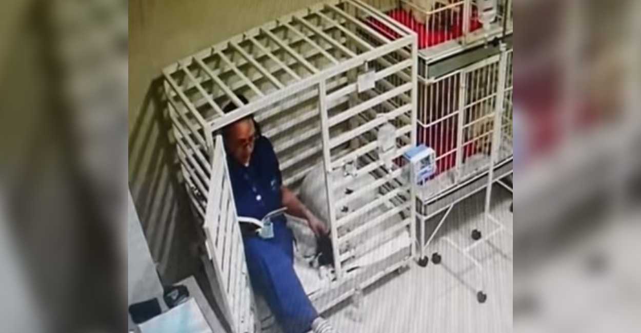 La veterinaria se sentó dentro de la jaula para poder acariciar al perro mientras le leía el cuento. | Foto: Captura de pantalla.