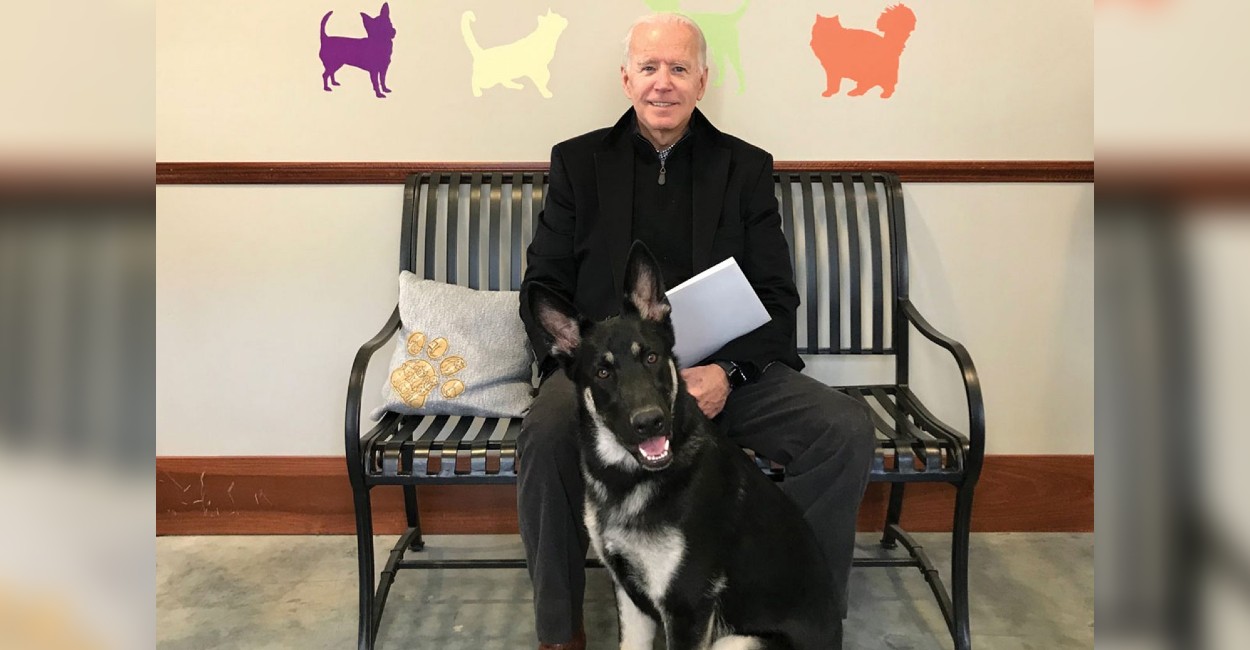 Biden adoptó al canino. | Foto: cortesía. 