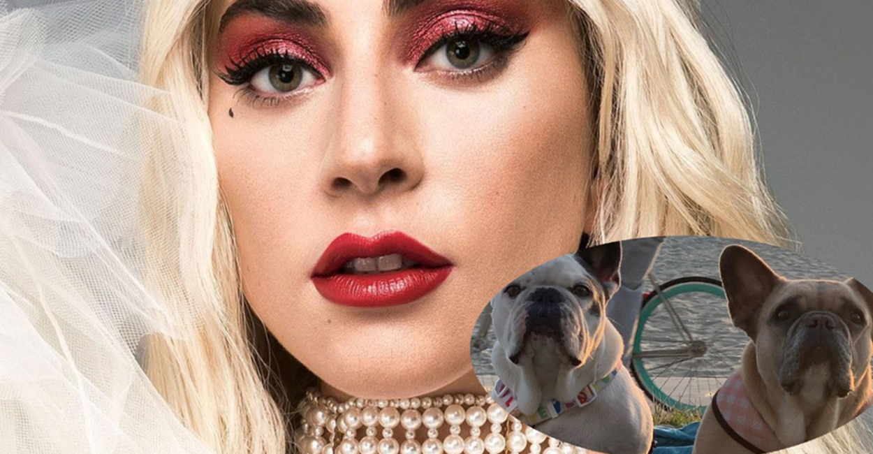 La cantante Lady Gaga recuperó a sus dos perros robados.