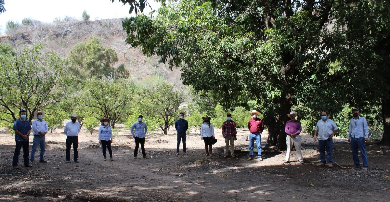 Con la obra beneficiarán a los productores de mango. | Foto: Rocío Ramírez.