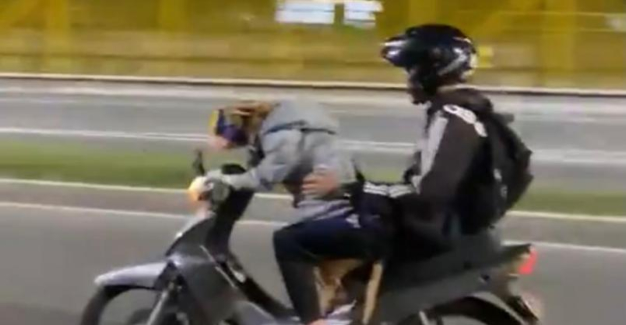 Un perro maneja una motocicleta en Colombia.