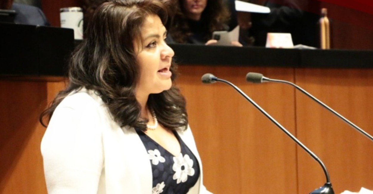 Nestora Salgado, senadora. | Foto: Twitter.
