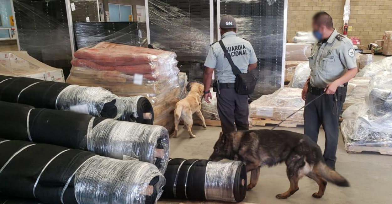 La unidad canina de la Guardia Nacional localizó envoltorios de aparente marihuana.