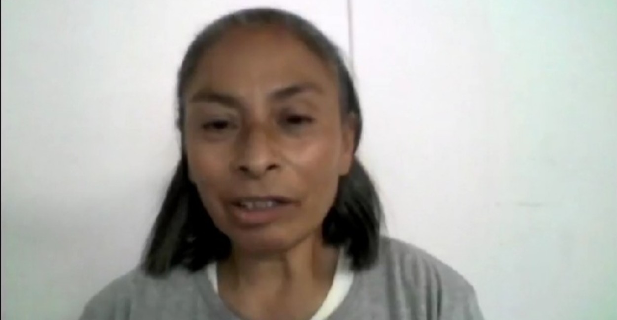 Delfina Martínez, trabajadora doméstica que desde hace 10 años cuenta con seguridad social. | Foto: Captura de pantalla.