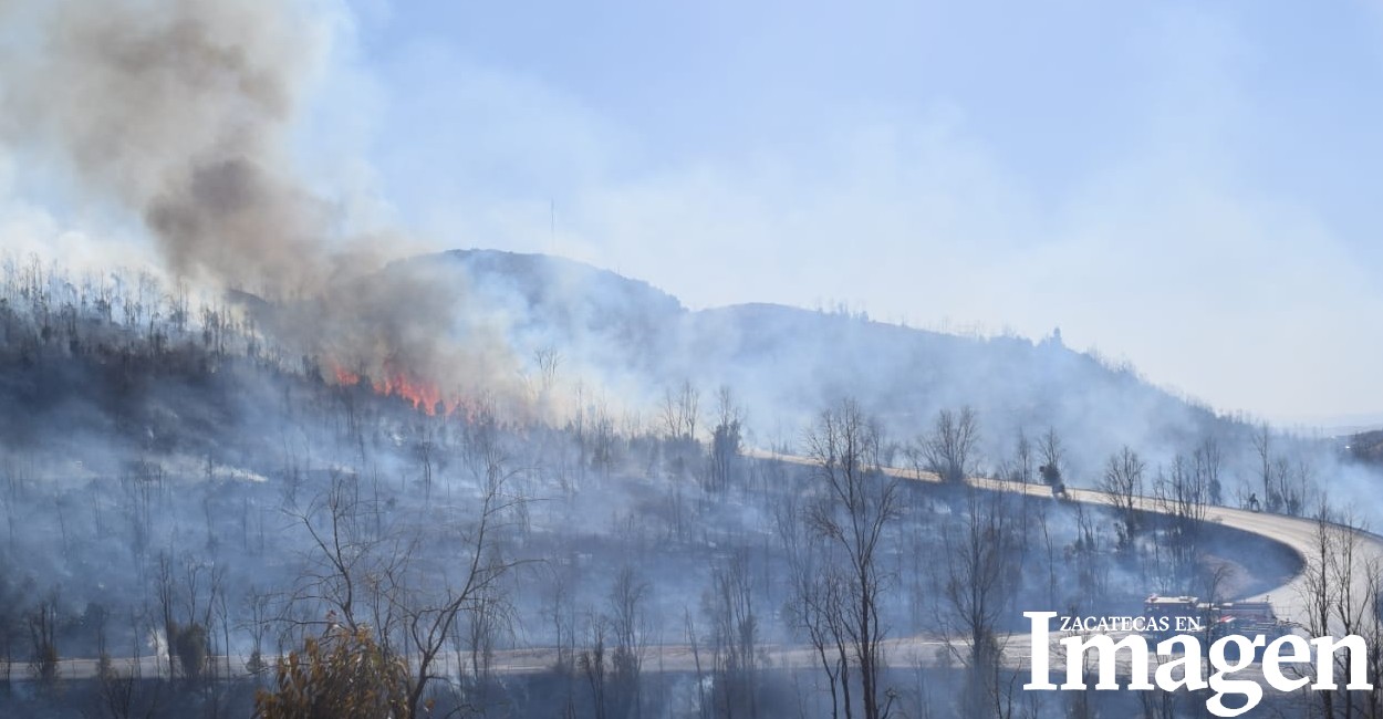 Los incendios dejaron más de 43 hectáreas afectadas. | Fotos: Alejandro Román.