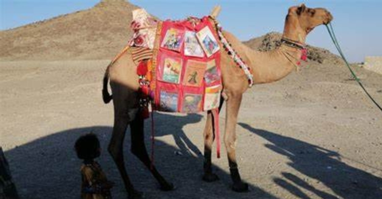 El camello lleva los libros infantiles sobre su joroba. | Foto: cortesía. 