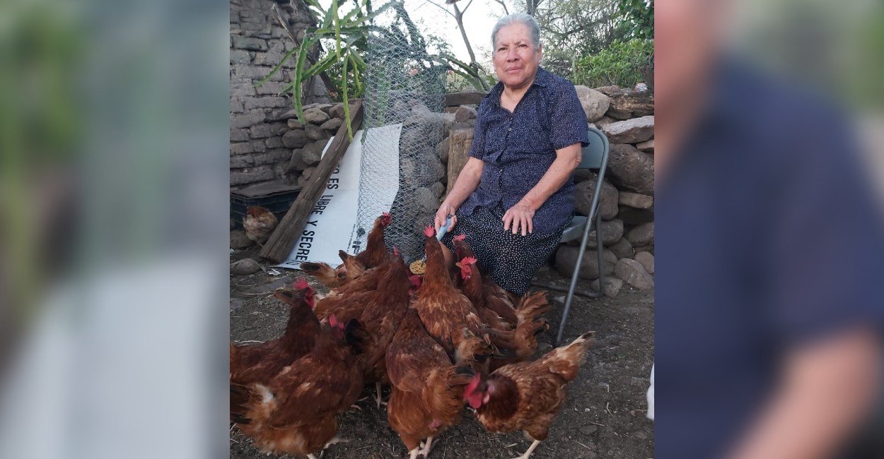 Doña Graciela asegura que las gallinas son animales muy agradecidos. | Fotos: Rocío Ramírez.