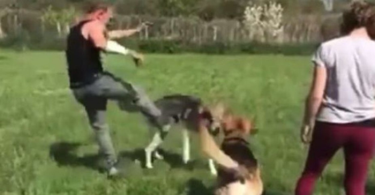 El método de entrenamiento causó indignación. | Foto: captura del video.