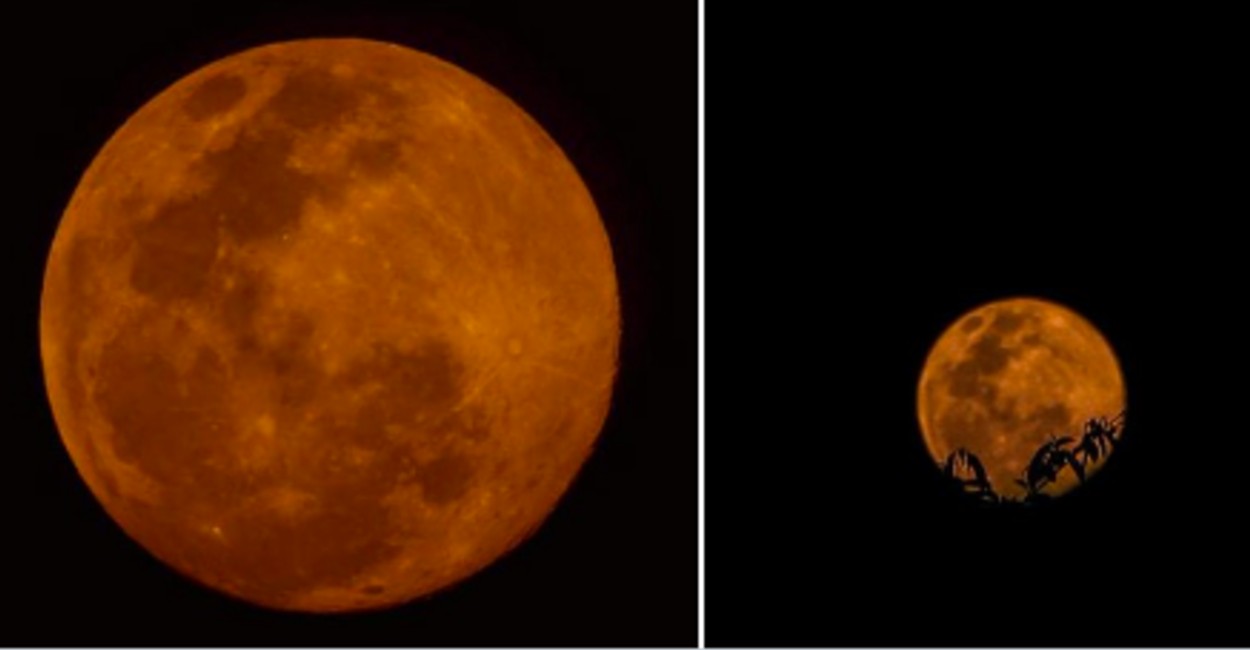 La luna dio un gran espectáculo la noche del martes. | Foto: cortesía. 