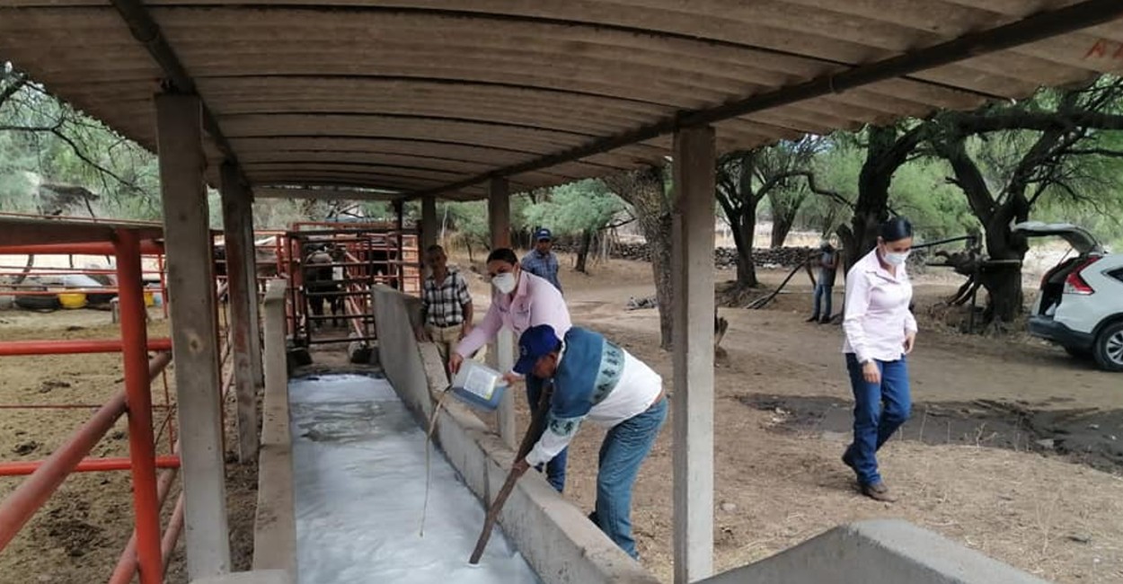 La alcaldesa entregó las cargas garrapaticidas a los ganaderos .|Foto: Rocío Ramírez