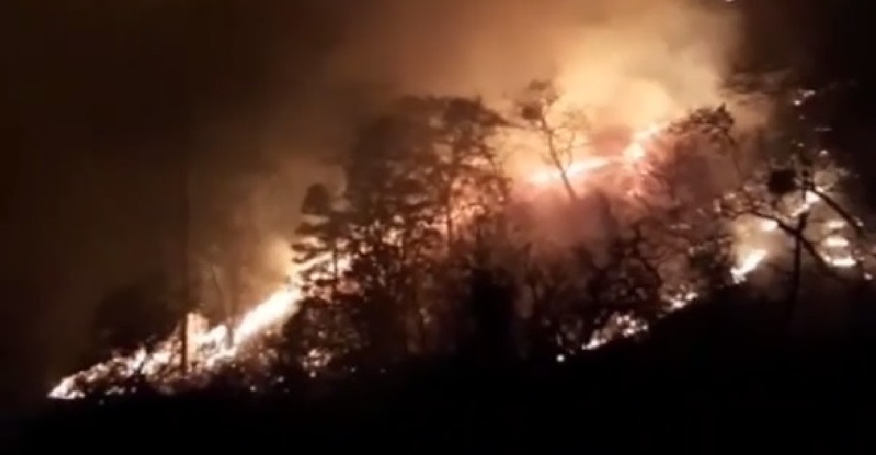 Los incendios en Valparaíso dañaron gran parte de la sierra