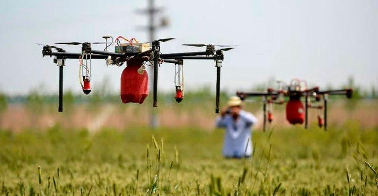 Con los drones podrán realizar labores de fumigación y repaso. / Foto: Cortesía