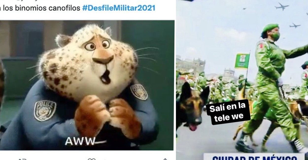A los internautas les causó ternura la aparición de los perritos del Ejército. | Fotos: Twitter.