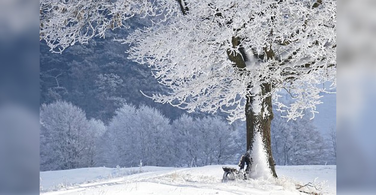 Comenzarían las primeras nevadas en la zona serrana. | Foto: Pixabay.
