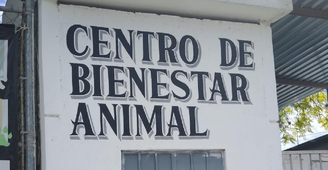 Centro de Bienestar Animal. | Foto: Cortesía.