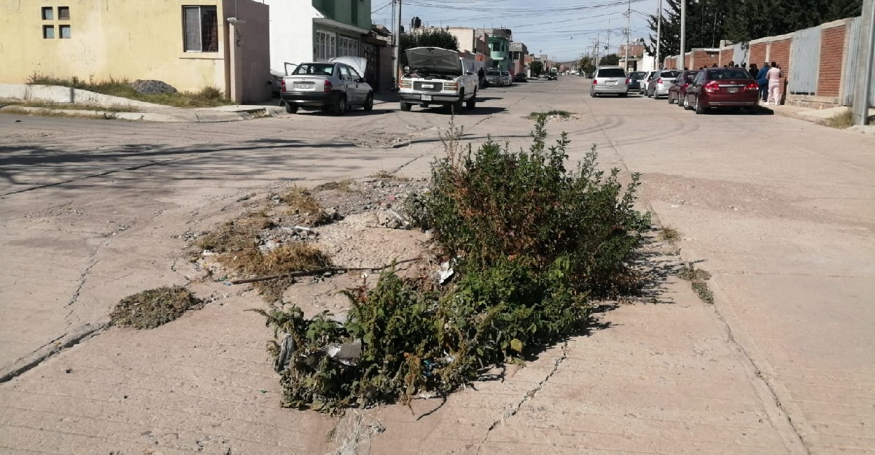 Vecinos y transeúntes se han quejado sobre el mal estado de las calles. | Fotos: Marcela Espino.
