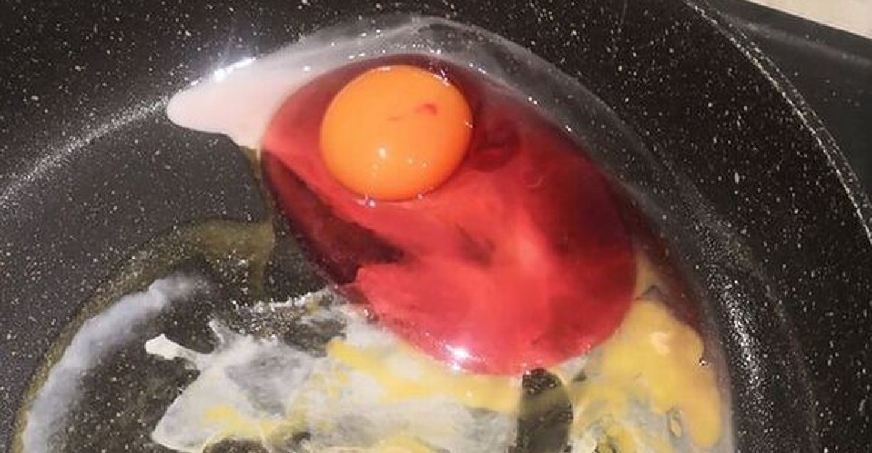 El huevo se había vuelto color rosa debido a una bacteria. | Foto: cortesía.
