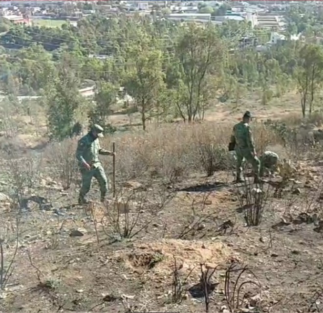 La limpieza y reforestación del Cerro del Padre la realizaron elementos del Ejército, wixaritari y ciudadanía en general. 