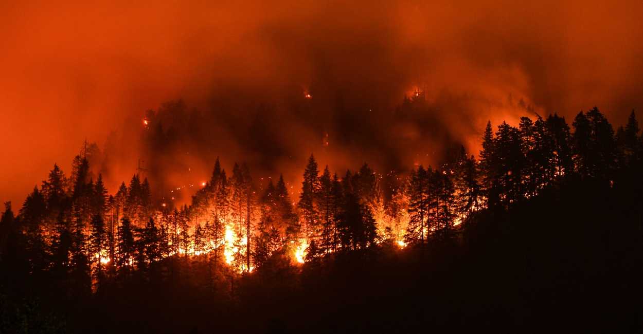Las olas de calor, propician los incendios Forestales. | Foto: Cortesía.