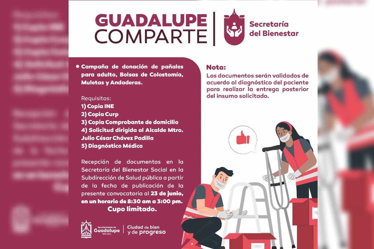 Programa social 'Guadalupe Comparte'