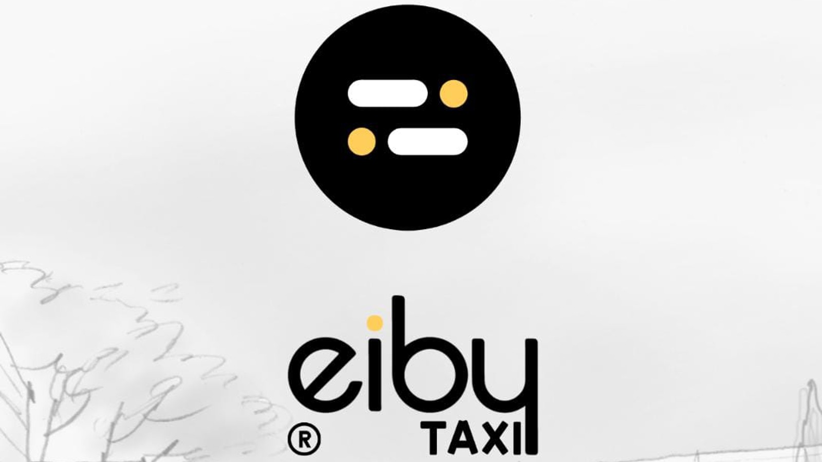 Eiby Taxy es la app que utilizarán los taxis de zacatecas. |Foto: Cortesía