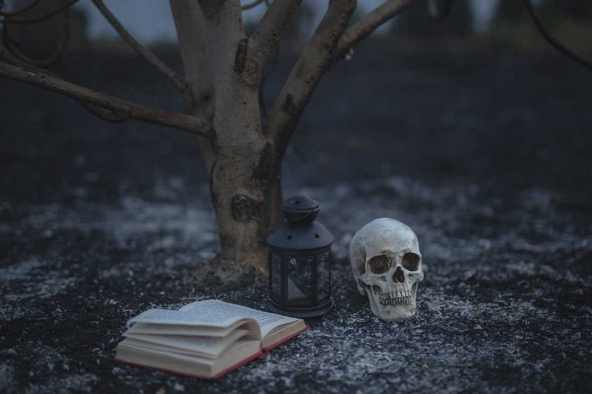 Los mejores libros de Terror. | Foto: Cortesía.
