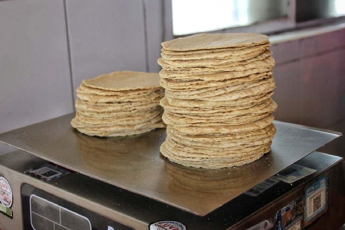 Los productores de tortillas en Zacatecas adquieren a 10 mil 700 pesos la tonelada de Maíz. | Foto: Cortesía.
