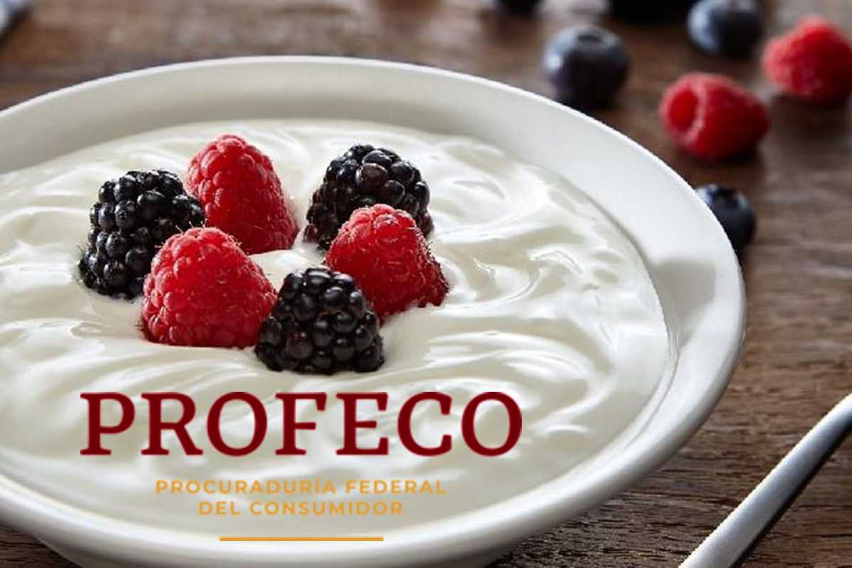 Profeco: Realizó estudios a 21 marcas de Marcas de yogurt. | Foto: Cortesía.
